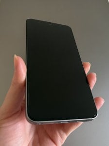 IMG_0048.jpeg