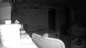 VIDEO_20250925_051330584_exported_28423.jpg
