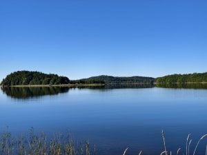 IMG_20250926_104208.jpg