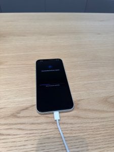 IMG_3167.jpg