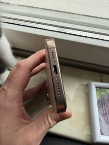 IMG_0013.jpeg