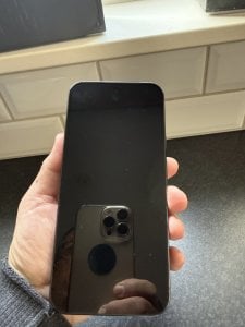 IMG_0756.jpeg