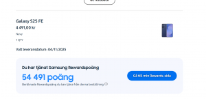 Skärmbild 2025-10-26 192232.png