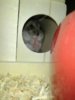 uploadfromtaptalk1331158121584.jpg