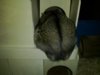 uploadfromtaptalk1331158152073.jpg