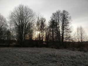 IMG_20161206_113940.jpg