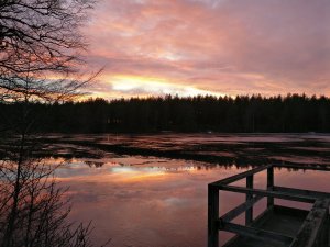 IMG_20161205_152644.jpg