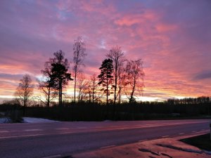 IMG_20161205_153408.jpg