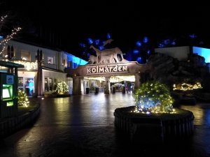 IMG_20161209_184925_1.jpg