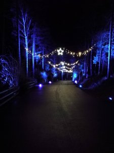 IMG_20161209_184458.jpg