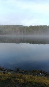 IMG_20161211_111053.jpg