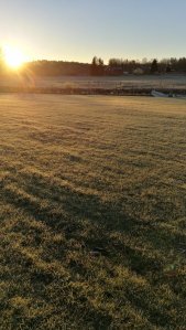 IMG_20161212_092830.jpg