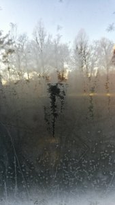 IMG_20161212_104809.jpg