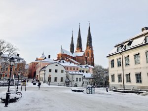 IMG_1968.JPG