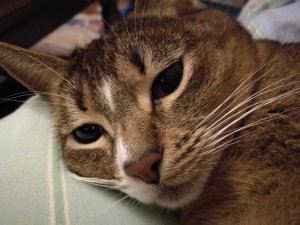 IMG_20161212_170231.jpg