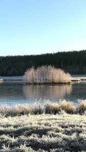 IMG_20161214_105348.jpg