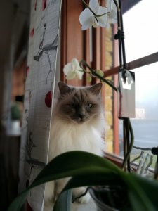 IMG_20161218_114334.jpg