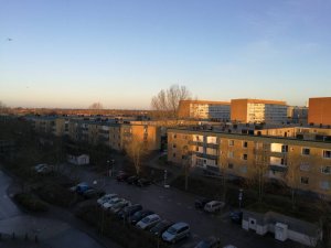 IMG_20161223_091501.jpg