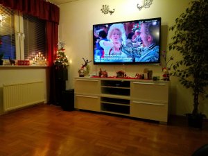 IMG_20161225_173133.jpg