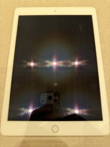 IMG_1096 Medium.jpeg