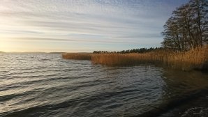 DSC_0013.JPG