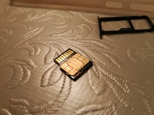 IMG_20161230_193557.jpg