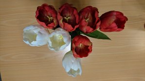 DSC_0031.JPG