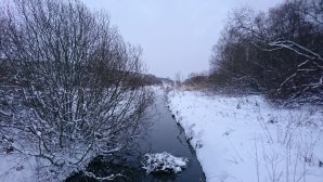 DSC_0052.JPG