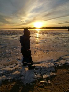 IMG_20170106_150956.jpg