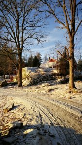IMG_20170106_102504.jpg