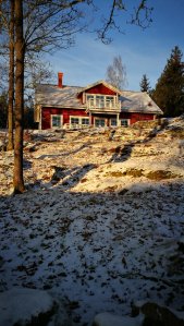 IMG_20170106_102556.jpg