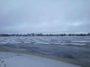 IMG_20170107_135619.jpg