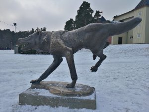 IMG_20170107_135255.jpg