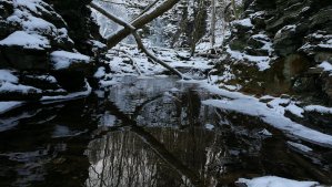 IMG_20170108_133725.jpg