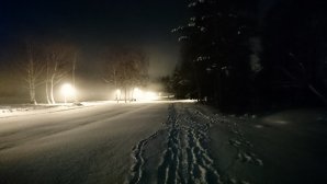 DSC_0091.JPG