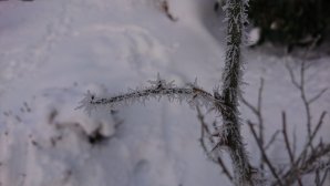 DSC_0095.JPG