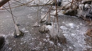 DSC_0080.JPG