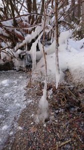 DSC_0079.JPG