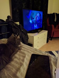 IMG_20170111_230140.jpg