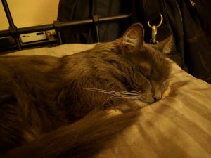 IMG_20170111_231016.jpg