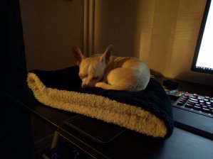 IMG_20160109_200030.jpg