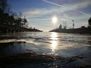 IMG_20170121_134959.jpg