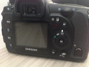 IMG_0363.JPG