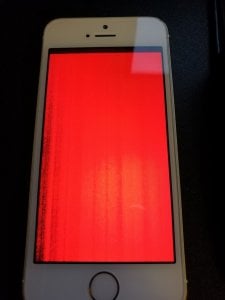 IMG_20170129_205301.jpg
