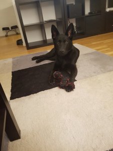 20170131_073759.jpg