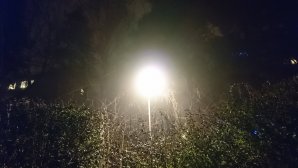 DSC_0127.JPG