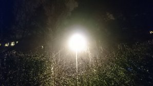 DSC_0128.JPG