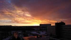 DSC_0103.JPG