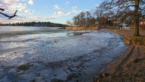 DSC_0105.JPG