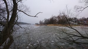 DSC_0123.JPG